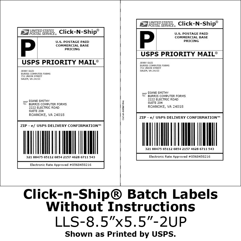 Usps Shipping Label 228 Template For Invoice landpowerful